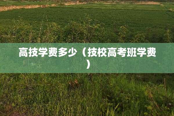 高技学费多少（技校高考班学费）