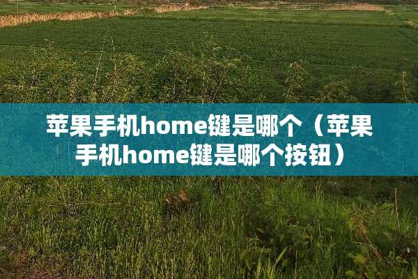 苹果手机home键是哪个（苹果手机home键是哪个按钮）