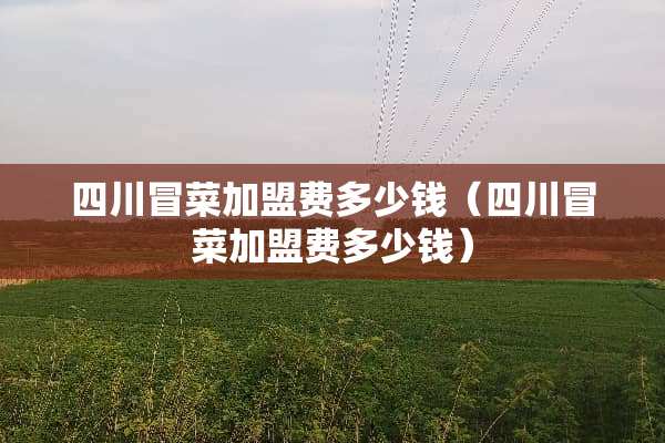 四川冒菜加盟费多少钱（四川冒菜加盟费多少钱）