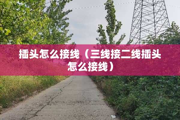插头怎么接线（三线接二线插头怎么接线）