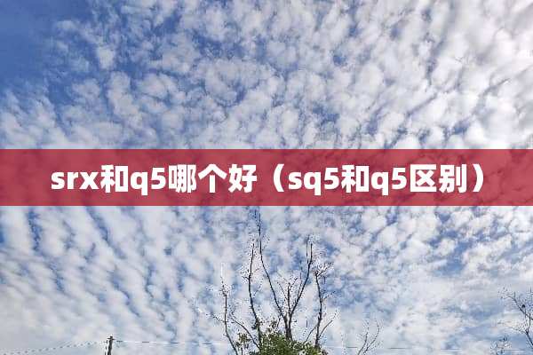 srx和q5哪个好（sq5和q5区别）