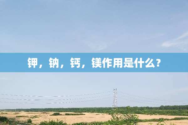 钾，钠，钙，镁作用是什么？