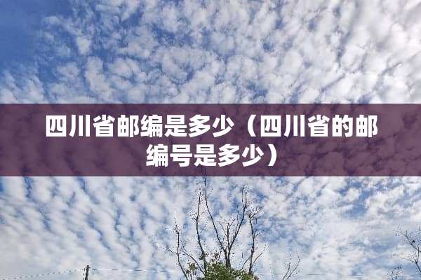四川省邮编是多少（四川省的邮编号是多少）