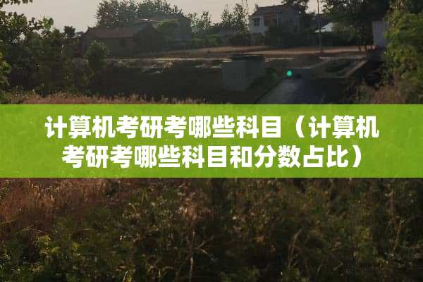 计算机考研考哪些科目（计算机考研考哪些科目和分数占比）