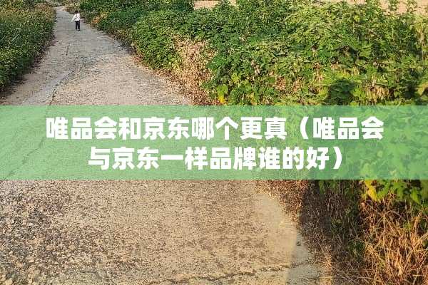 唯品会和京东哪个更真（唯品会与京东一样品牌谁的好）