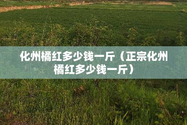 化州橘红多少钱一斤（正宗化州橘红多少钱一斤）
