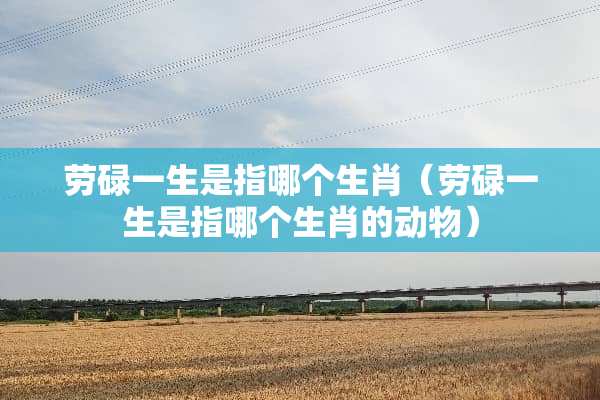 劳碌一生是指哪个生肖（劳碌一生是指哪个生肖的动物）