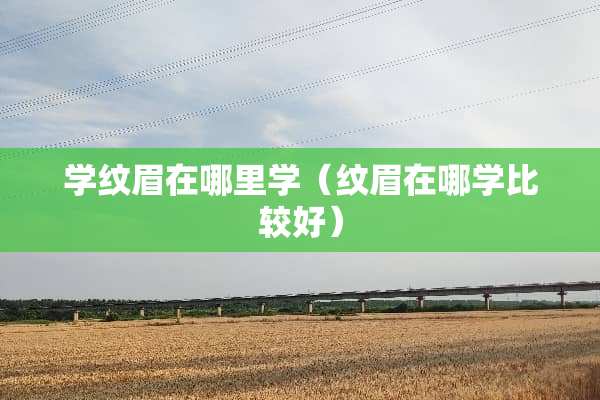 学纹眉在哪里学（纹眉在哪学比较好）