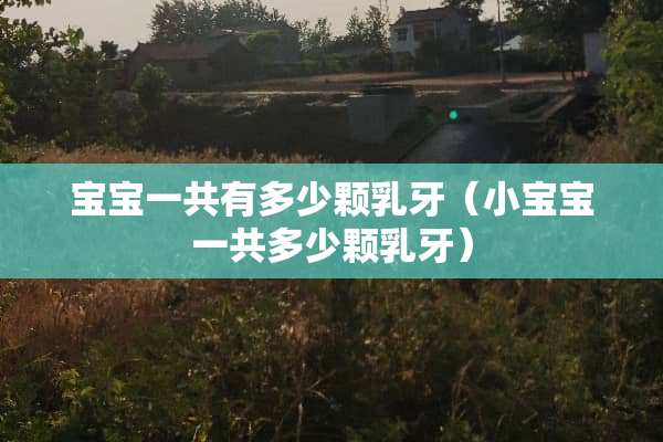 宝宝一共有多少颗*牙（小宝宝一共多少颗*牙）
