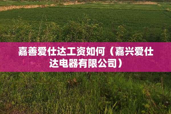 嘉善爱仕达工资如何（嘉兴爱仕达电器有限公司）
