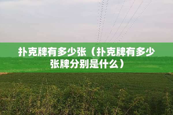 **牌有多少张（**牌有多少张牌分别是什么）