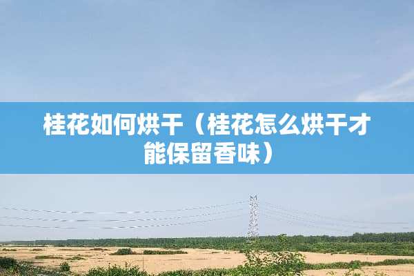 桂花如何烘干（桂花怎么烘干才能保留香味）