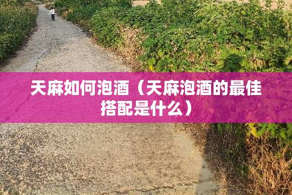 天麻如何泡酒（天麻泡酒的最佳搭配是什么）