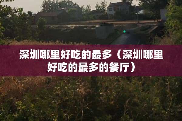 深圳哪里好吃的最多（深圳哪里好吃的最多的餐厅）
