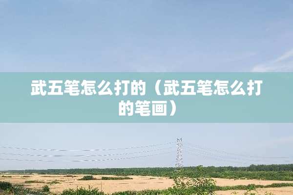 武五笔怎么打的（武五笔怎么打的笔画）
