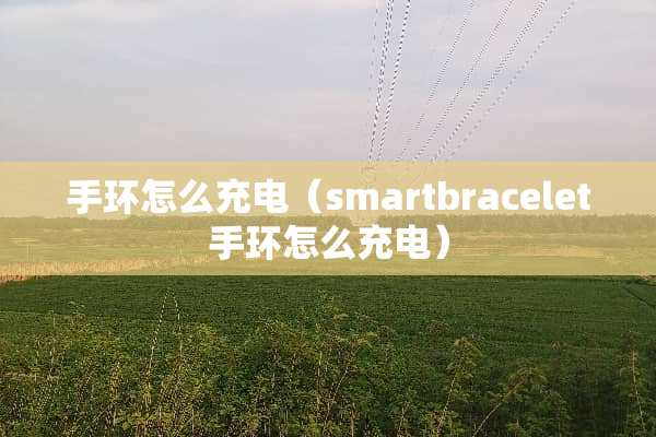 手环怎么充电（smartbracelet手环怎么充电）