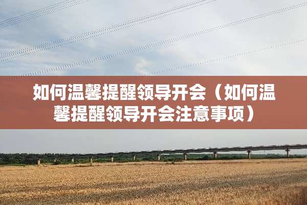 如何温馨提醒领导开会（如何温馨提醒领导开会注意事项）
