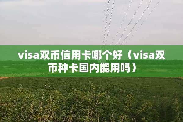 visa双币信用卡哪个好（visa双币种卡国内能用吗）