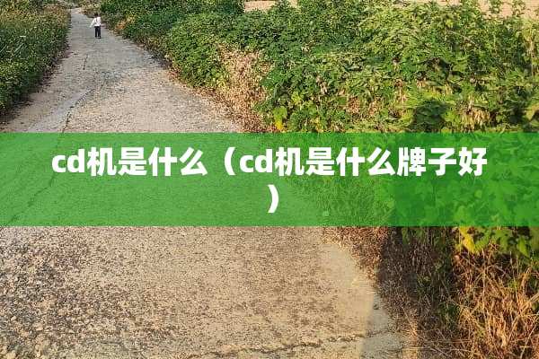 cd机是什么（cd机是什么牌子好）