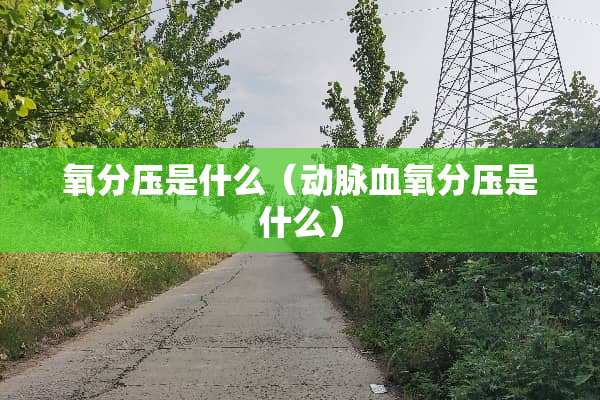 氧分压是什么（动脉血氧分压是什么）