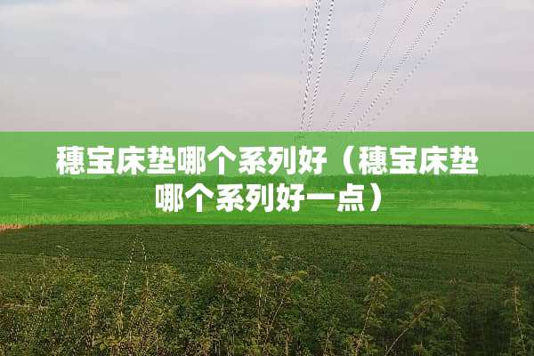穗宝床垫哪个系列好（穗宝床垫哪个系列好一点）
