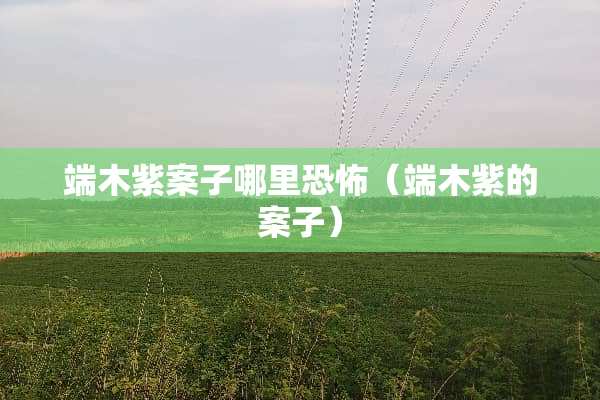 端木紫案子哪里恐怖（端木紫的案子）