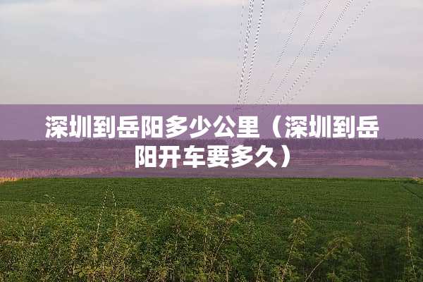 深圳到岳阳多少公里（深圳到岳阳开车要多久）