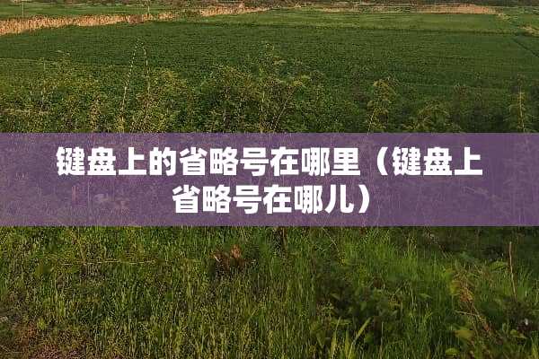 键盘上的省略号在哪里（键盘上省略号在哪儿）