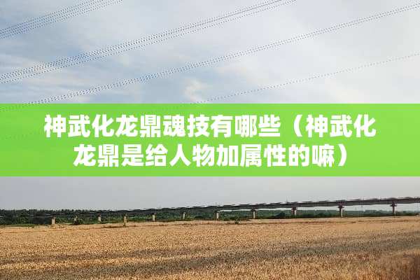 神武化龙鼎魂技有哪些（神武化龙鼎是给人物加属性的嘛）