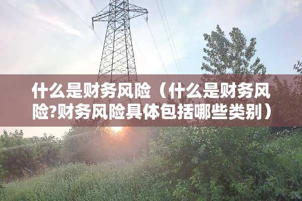 什么是财务风险（什么是财务风险?财务风险具体包括哪些类别）