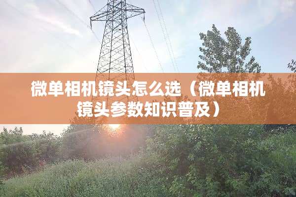 微单相机镜头怎么选（微单相机镜头参数知识普及）