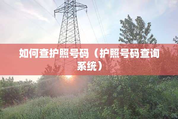 如何查护照号码（护照号码查询系统）