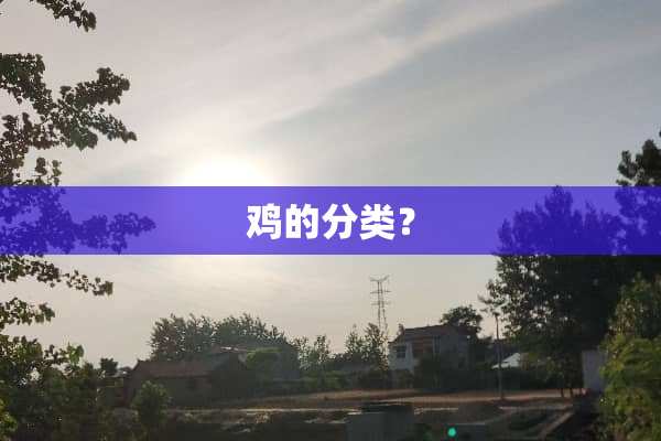 鸡的分类？