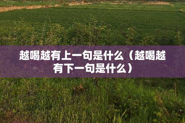 越喝越有上一句是什么（越喝越有下一句是什么）