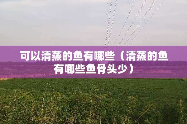可以清蒸的鱼有哪些（清蒸的鱼有哪些鱼骨头少）