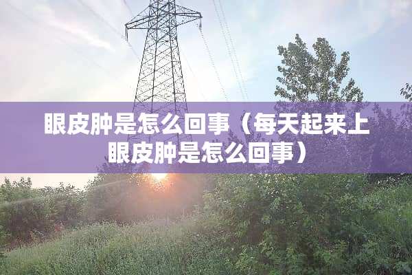 眼皮肿是怎么回事（每天起来上眼皮肿是怎么回事）