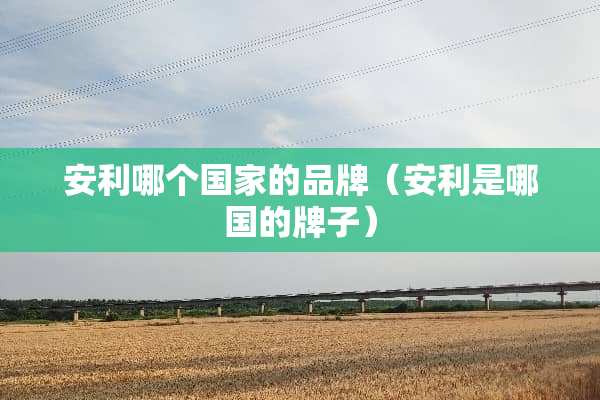 安利哪个国家的品牌（安利是哪国的牌子）