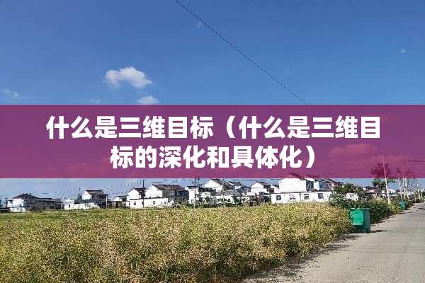什么是三维目标（什么是三维目标的深化和具体化）