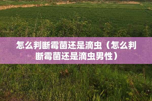 怎么判断霉菌还是滴虫（怎么判断霉菌还是滴虫男性）