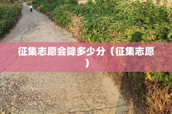 征集志愿会降多少分（征集志愿）