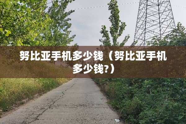 努比亚手机多少钱（努比亚手机多少钱?）