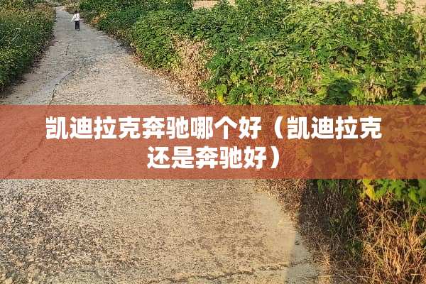凯迪拉克奔驰哪个好（凯迪拉克还是奔驰好）