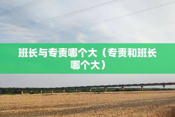 班长与专责哪个大（专责和班长哪个大）