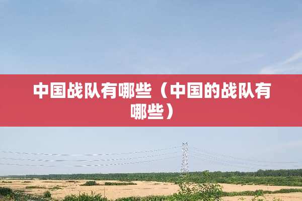 中国战队有哪些（中国的战队有哪些）