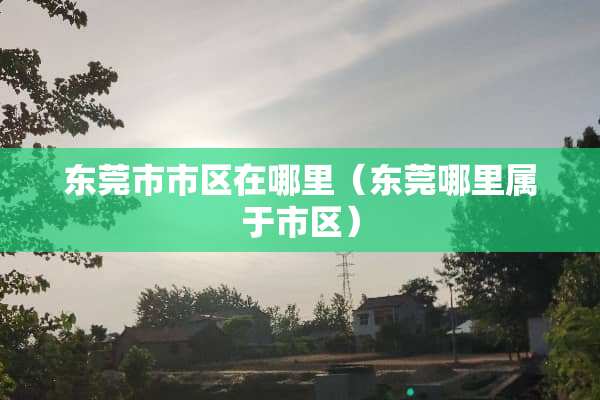 东莞市市区在哪里（东莞哪里属于市区）