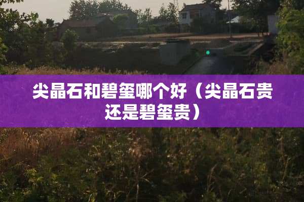 尖晶石和碧玺哪个好（尖晶石贵还是碧玺贵）