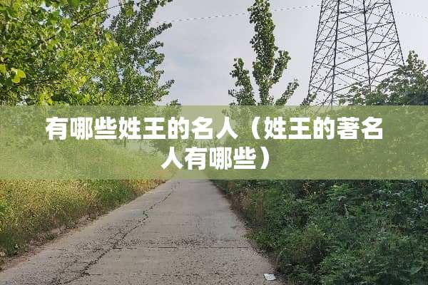 有哪些姓王的名人（姓王的著名人有哪些）