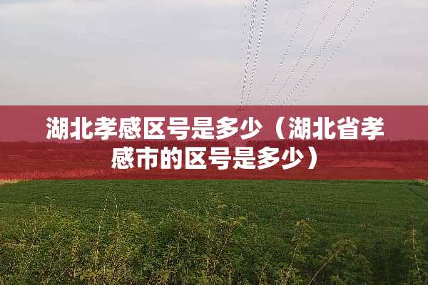湖北孝感区号是多少（湖北省孝感市的区号是多少）