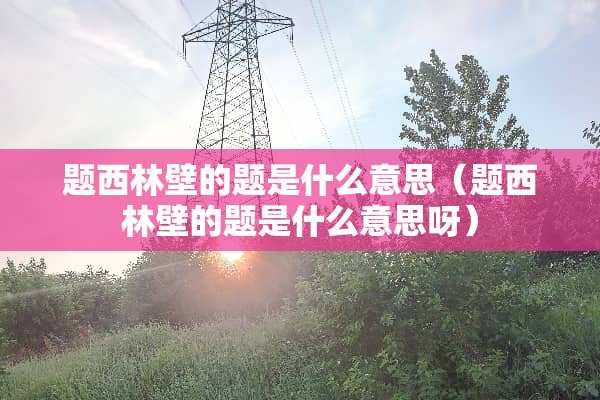 题西林壁的题是什么意思（题西林壁的题是什么意思呀）