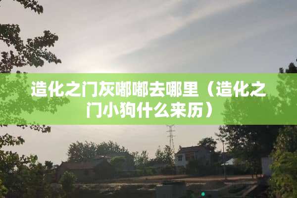 造化之门灰嘟嘟去哪里（造化之门小狗什么来历）
